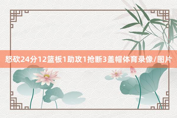 怒砍24分12篮板1助攻1抢断3盖帽体育录像/图片