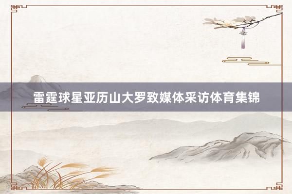 雷霆球星亚历山大罗致媒体采访体育集锦