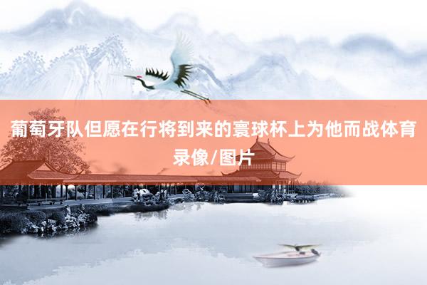 葡萄牙队但愿在行将到来的寰球杯上为他而战体育录像/图片