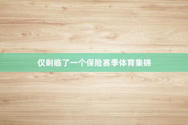 仅剩临了一个保险赛季体育集锦