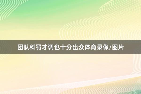 团队科罚才调也十分出众体育录像/图片