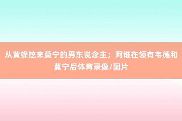 从黄蜂挖来莫宁的男东说念主；阿谁在领有韦德和莫宁后体育录像/图片